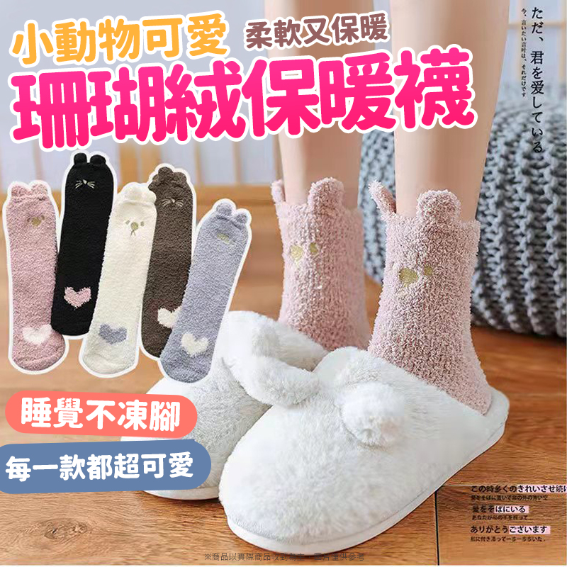 小動物可愛珊瑚絨保暖襪(5雙/包)